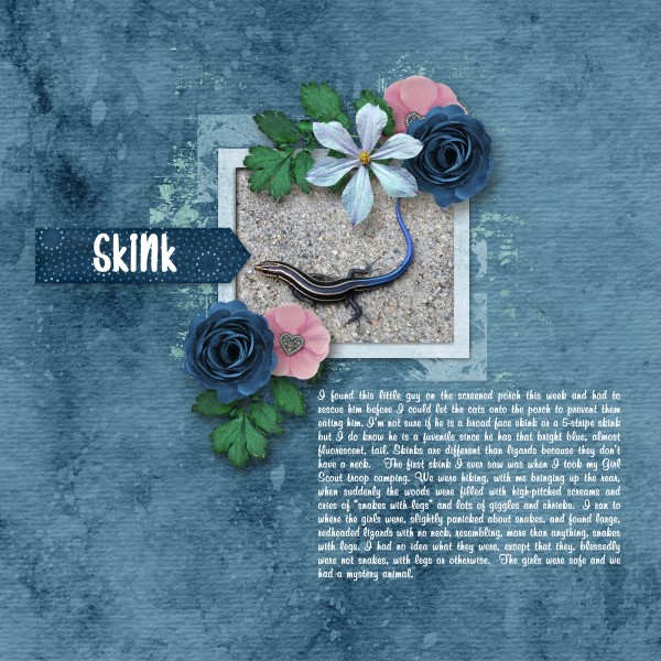 Skink
