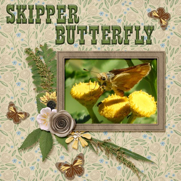 Skipper small.jpg