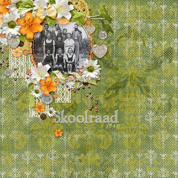 Skoolraad