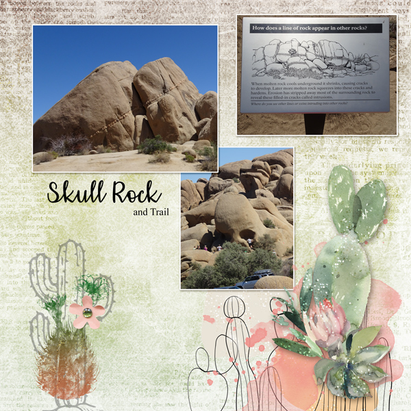 Skull Rock and Trail