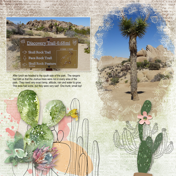 Skull Rock and Trail