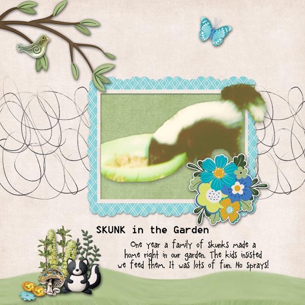 Skunk Visit