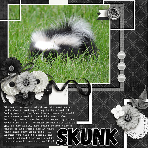 Skunk