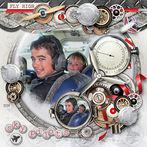 Sky Pilots
