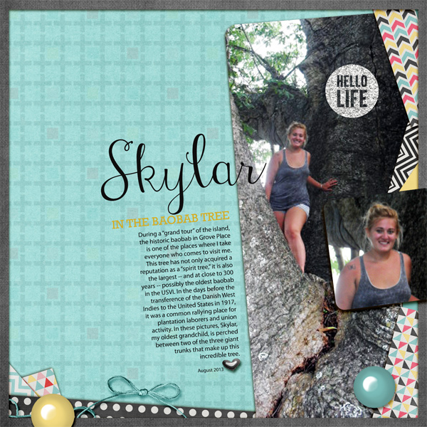 Skylar in the Baobab