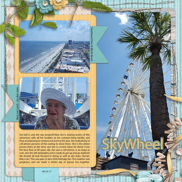 SkyWheel Adventure