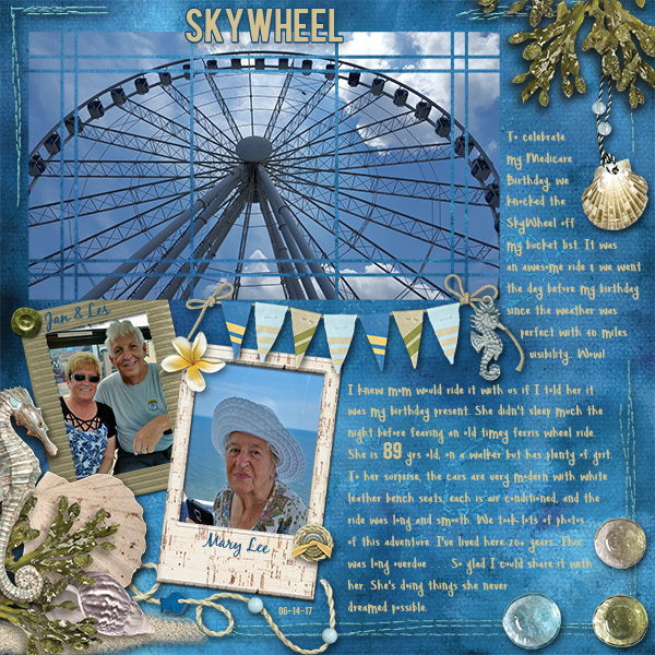 SkyWheel