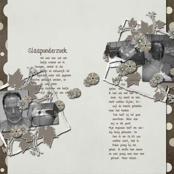 Slaaponderzoek