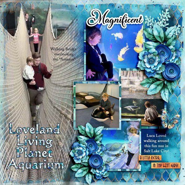 SLC-Aquarium