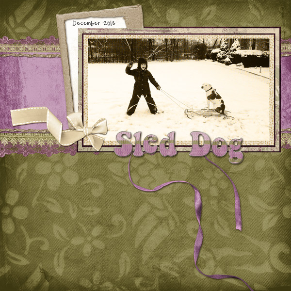 sled dog