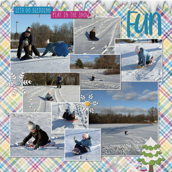 Sledding 1-13-25 {Page 2}