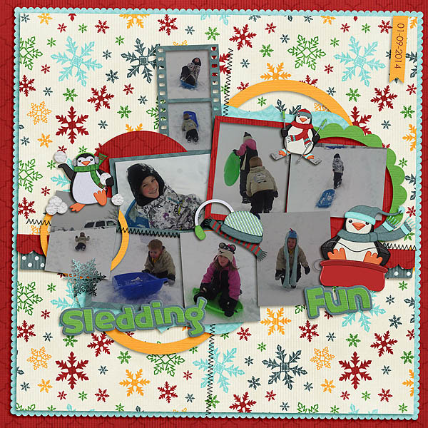 Sledding Fun 2014