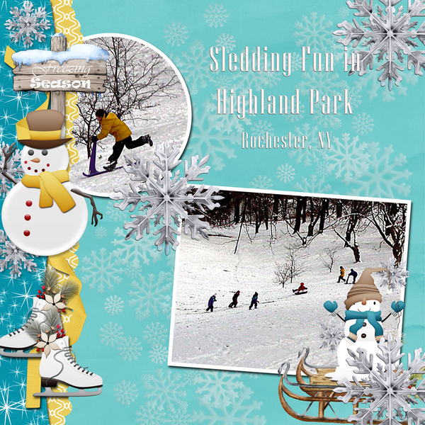 Sledding Fun in Highland Park