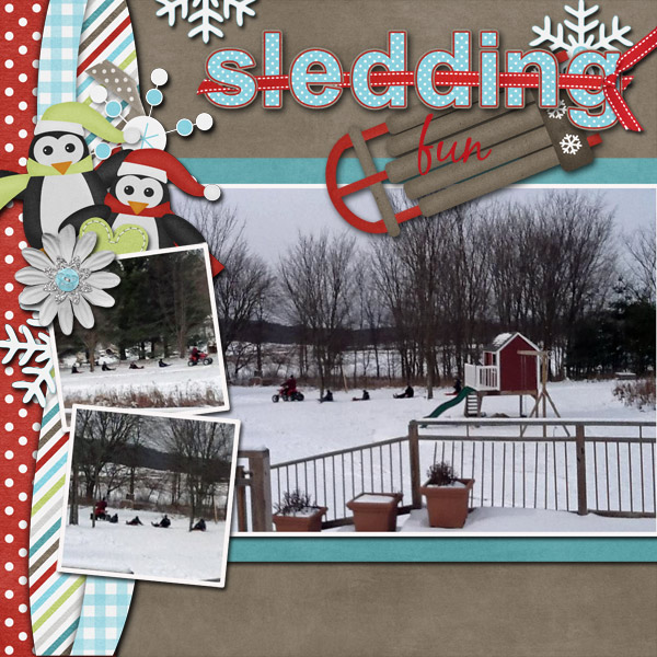 Sledding Fun