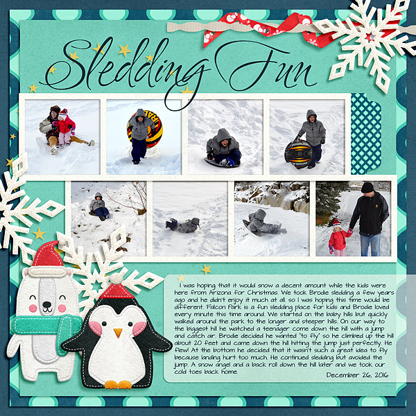 Sledding Fun
