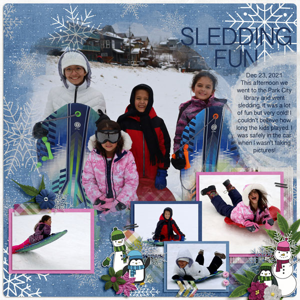 Sledding Fun