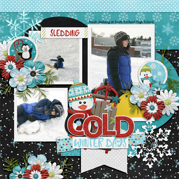 Sledding Fun
