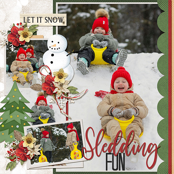Sledding Fun