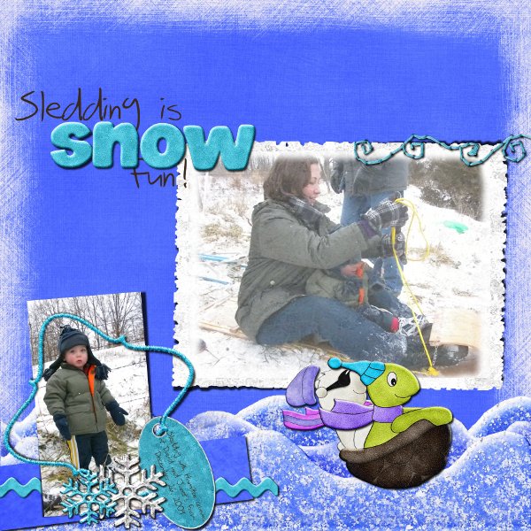 Sledding is Snow Fun