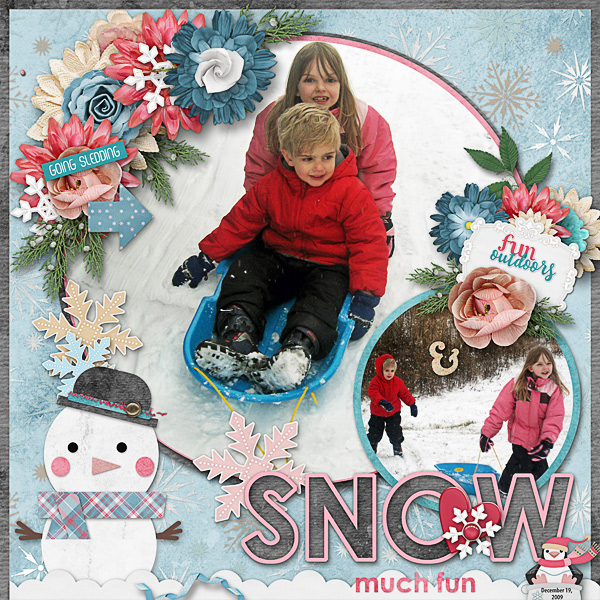 Sledding is Snow Much Fun