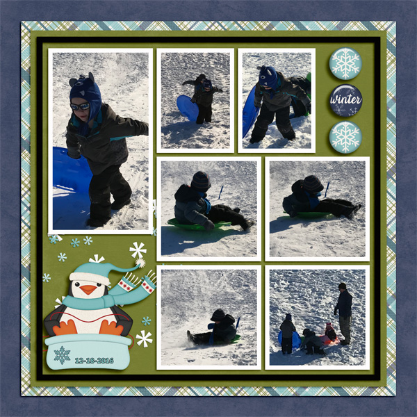 Sledding_2016
