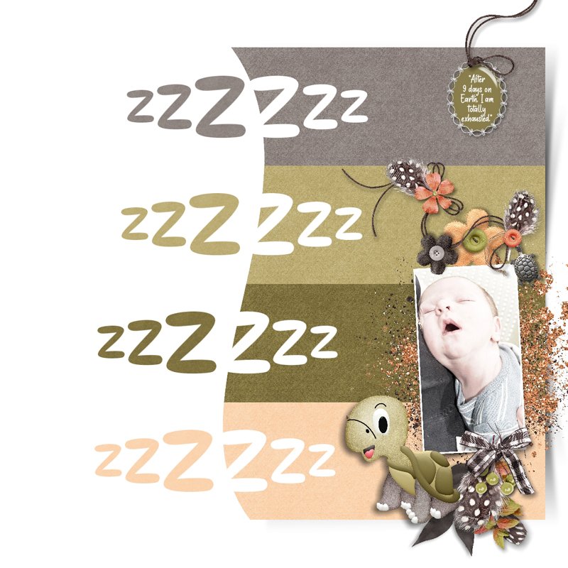 Sleep Like A Turtle.jpg