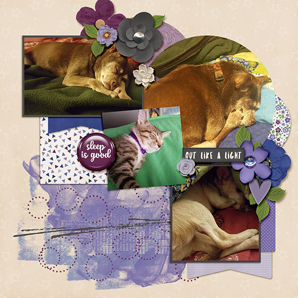 Sleeping Animals