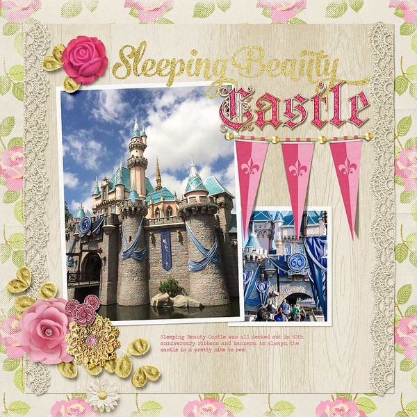 ~Sleeping Beauty Castle~