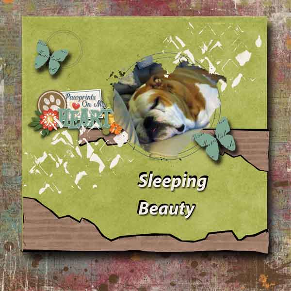 Sleeping Beauty