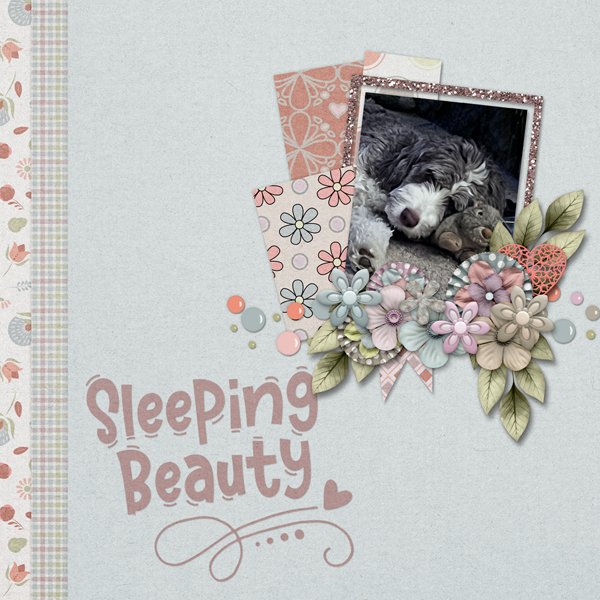 Sleeping Beauty
