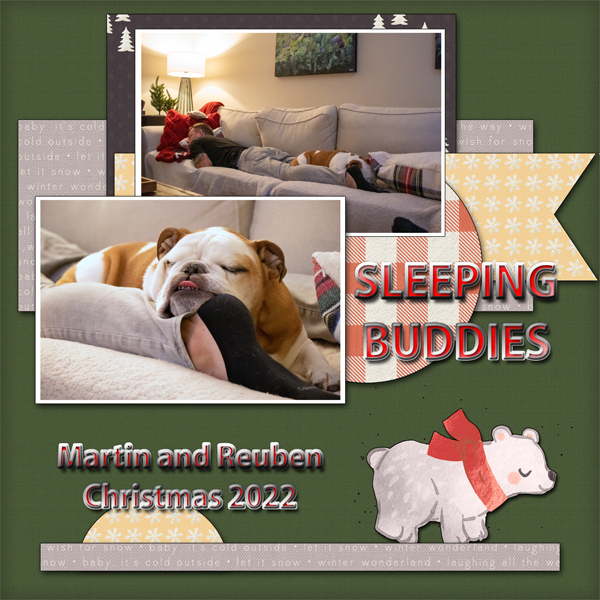 Sleeping Buddies