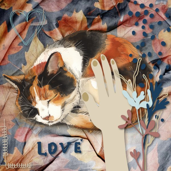 sleeping cat