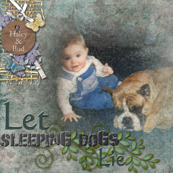 Sleeping Dog
