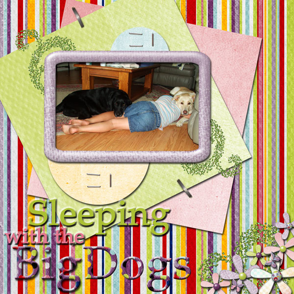 Sleeping with the Big Dogs