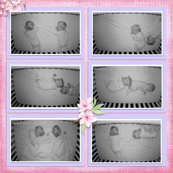 Sleeping_Babies_L