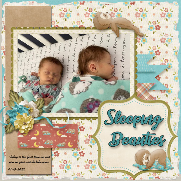 Sleeping_Beauties