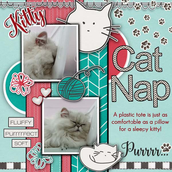 Sleepy Kitty