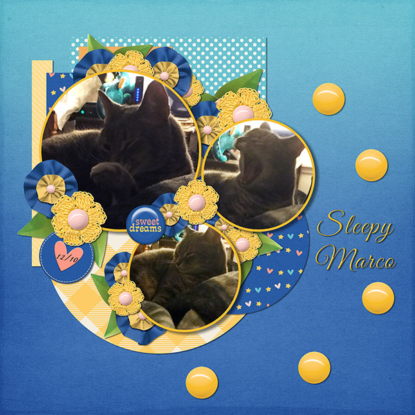 Sleepy Marco