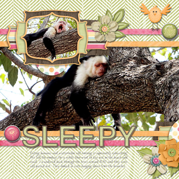 Sleepy Monkeys