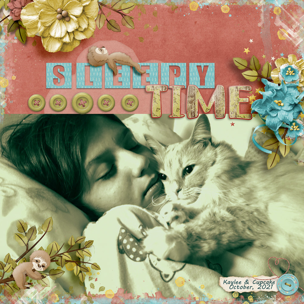 Sleepy Time
