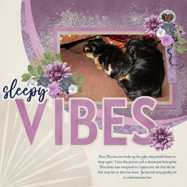 Sleepy Vibes