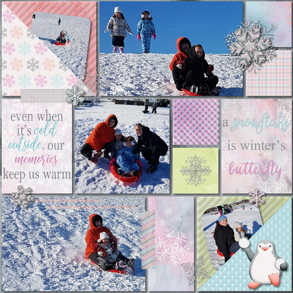 Sleigh Fun
