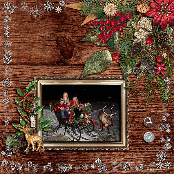 Sleigh Ride