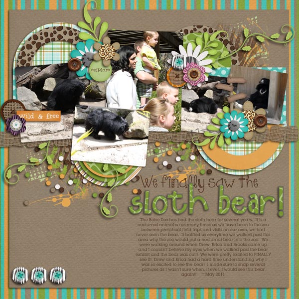 Sloth Bear