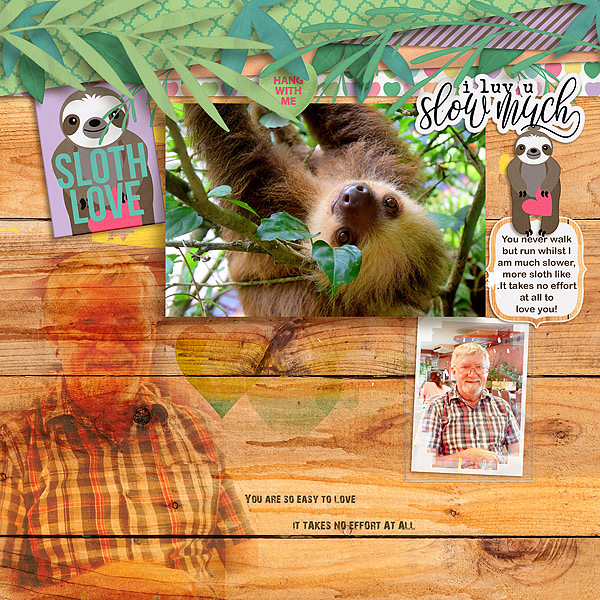 Sloth Love