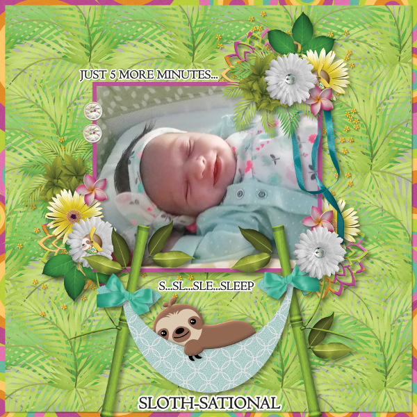Sloth-sational