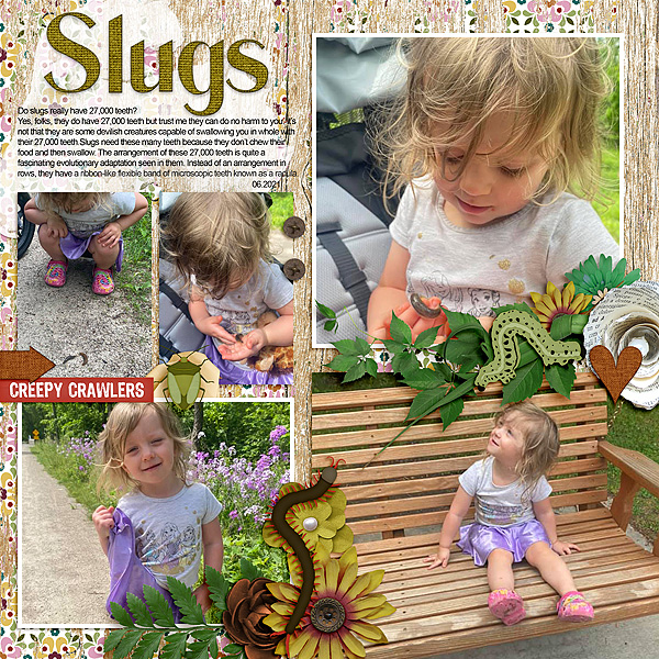 Slugs