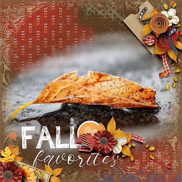 sly_cap_11825_25Nov_FallFavorites_web.jpg