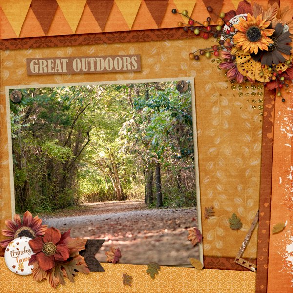 sly_path1_goldenFall.jpg