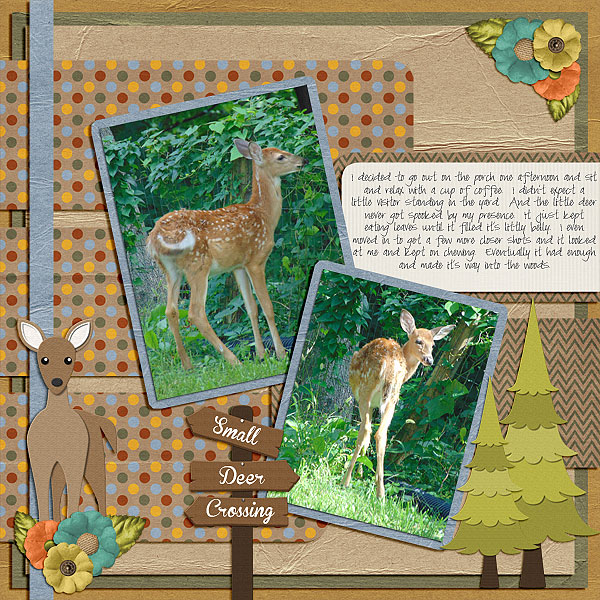 Small Deer Crossing